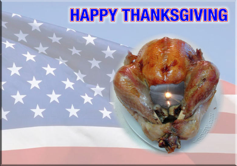 Thanksgiving usa turkey flag