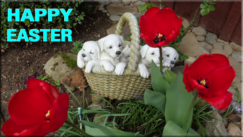 easter puppy and tulips