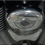 This Harley Davidson 100th anniversary emblem was a nice detail for the horn.